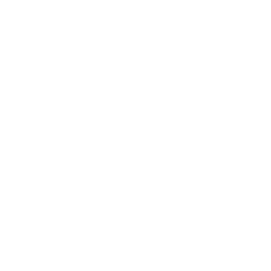 visa service
